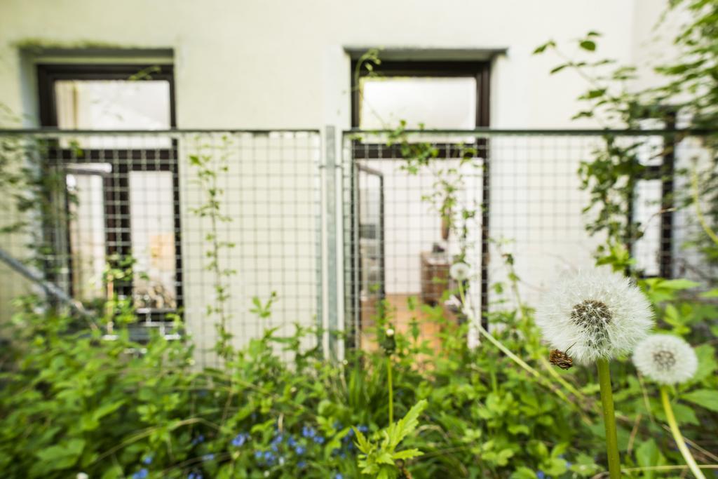 Chillout Lounge Satzberg Apartamento Viena Exterior foto